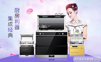 品牌介紹 迪博尼集成灶 迪博尼烤箱