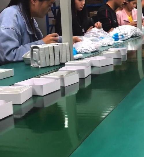 去看了電子廠的生產(chǎn)車間,從組裝線看到包裝線,每個(gè)位置都那么快