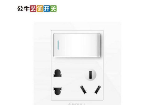 開關(guān)插座什么牌子好 家用開關(guān)插座十大排名